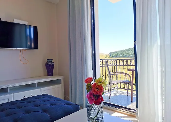 Adonis 205 * 즐라티보