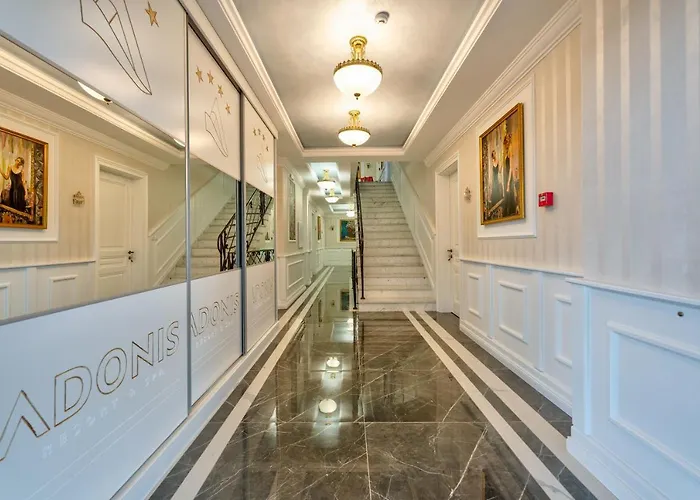 Adonis 205 즐라티보